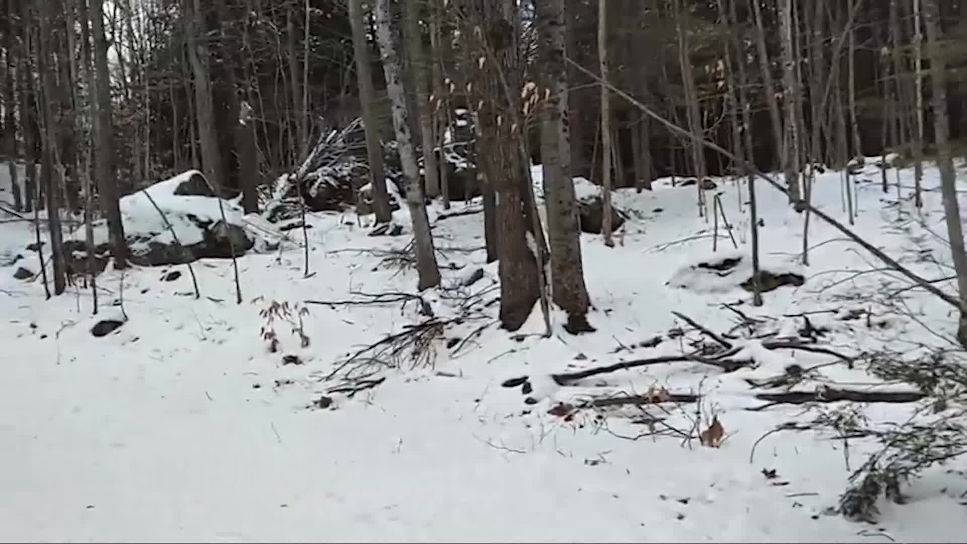 Upper Valley Land Trust- Field Notes Glacial Erratics
