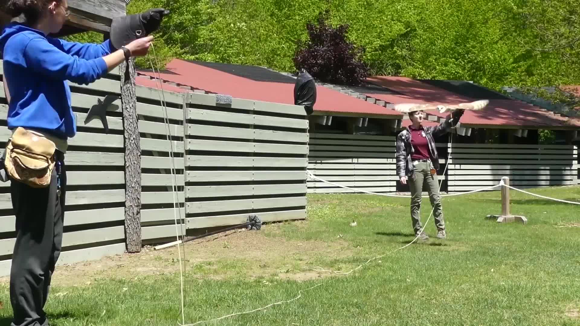 VINS Owl Festival 2023