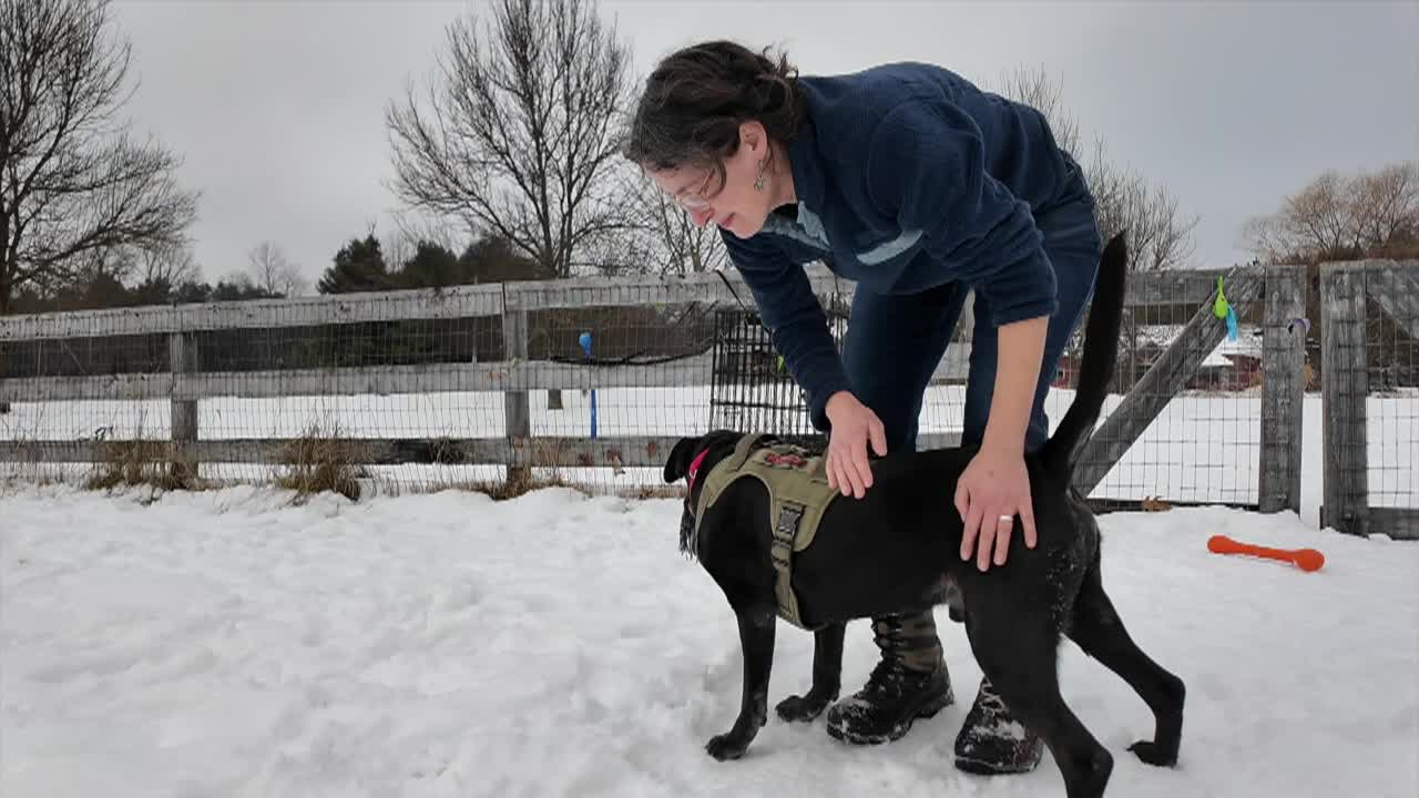 Lucy Mackenzie Humane Society- January Adoptables