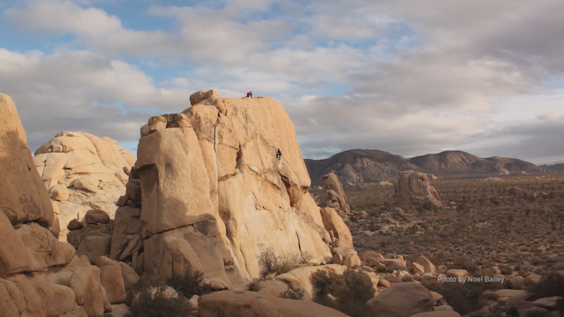 Artists Of Frog Hollow- Noel Bailey