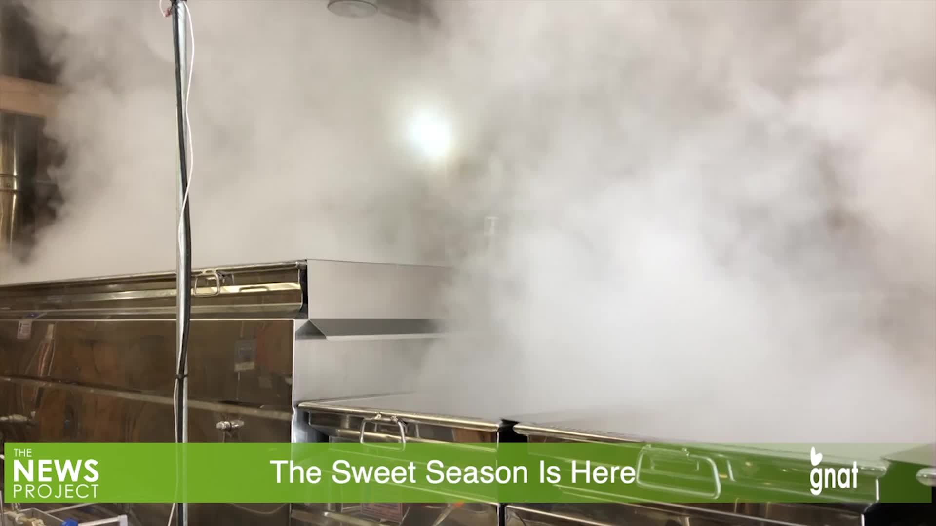 Maple Sugaring- The Sweet Season